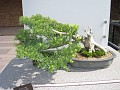 Botanical Gardens 2010 0480